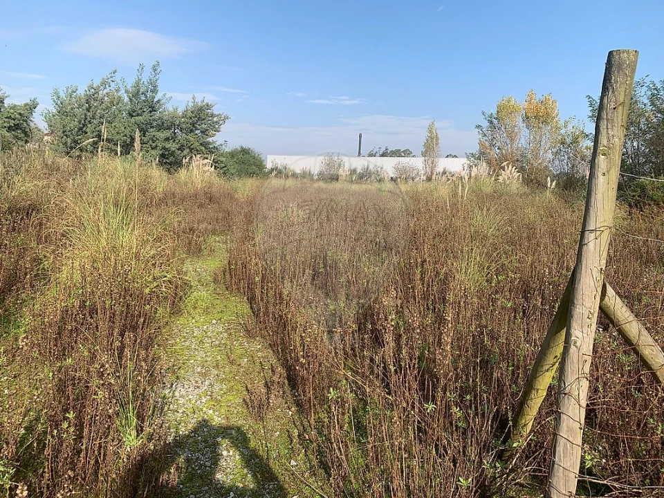 Terreno para Venda em Santo Tirso, Couto (Santa Cristina e São Miguel) e Burgães Foto 1