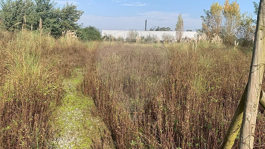 Terreno para Venda em Santo Tirso, Couto (Santa Cristina e São Miguel) e Burgães