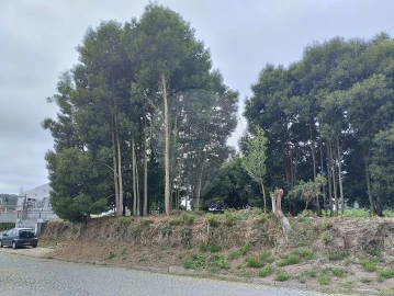Terreno para Venda em Pedroso e Seixezelo