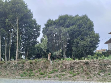 Terreno para Venda em Pedroso e Seixezelo
