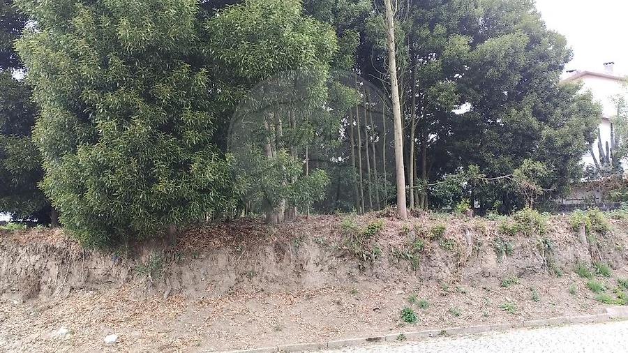 Terreno para Venda em Pedroso e Seixezelo