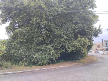 Terreno para Venda em Serzedo e Perosinho