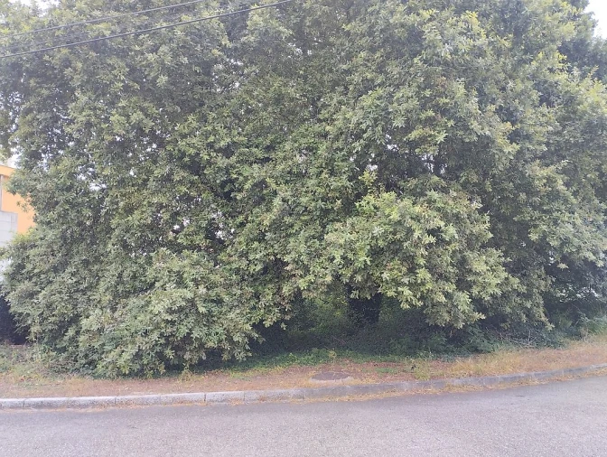 Terreno para Venda em Serzedo e Perosinho Foto 2