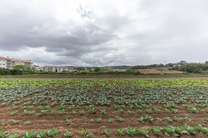 Terreno para Venda em Gulpilhares e Valadares