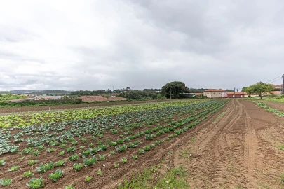 Terreno para Venda em Gulpilhares e Valadares