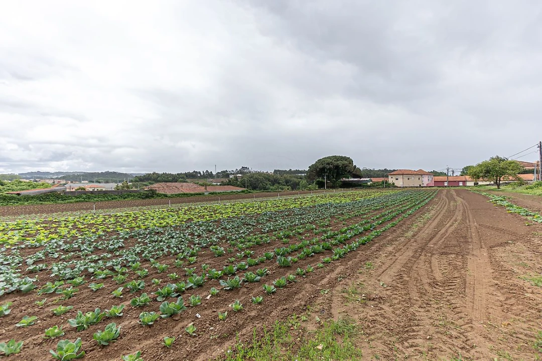 Terreno para Venda em Gulpilhares e Valadares Foto 32