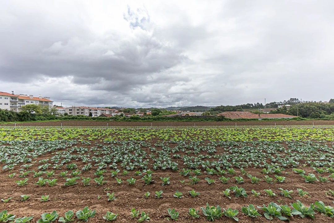 Terreno para Venda em Gulpilhares e Valadares Foto 22