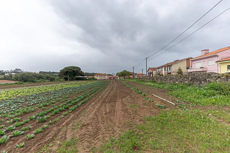 Terreno para Venda em Gulpilhares e Valadares Foto 37