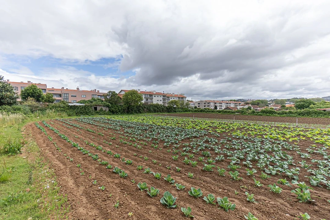 Terreno para Venda em Gulpilhares e Valadares Foto 27