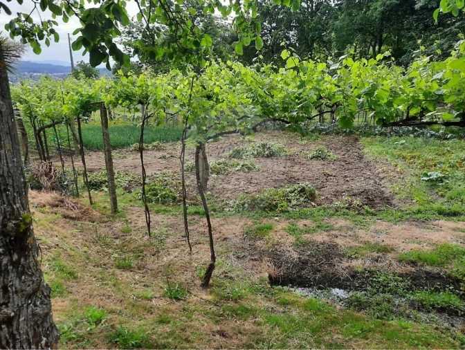 Terreno para Venda em Termas de São Vicente Foto 4