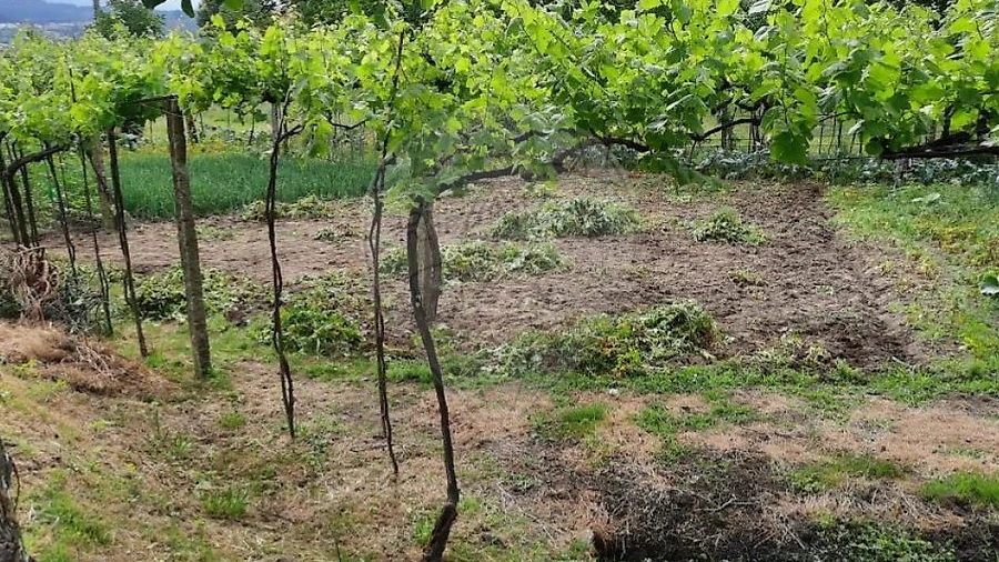 Terreno para Venda em Termas de São Vicente