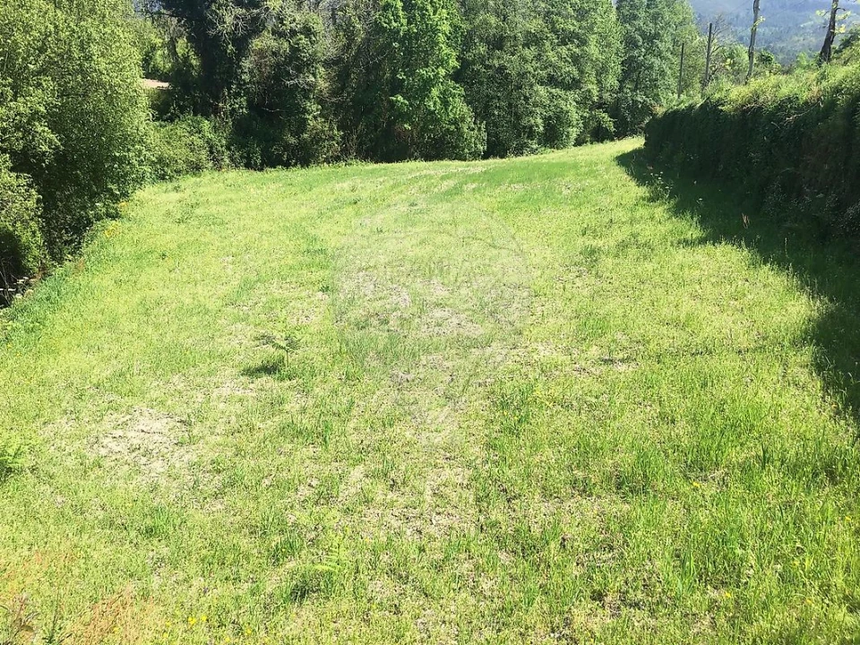 Terreno para Venda em Oriz (Santa Marinha) e Oriz (São Miguel) Foto 1