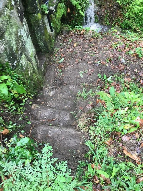 Terreno para Venda em Oriz (Santa Marinha) e Oriz (São Miguel)