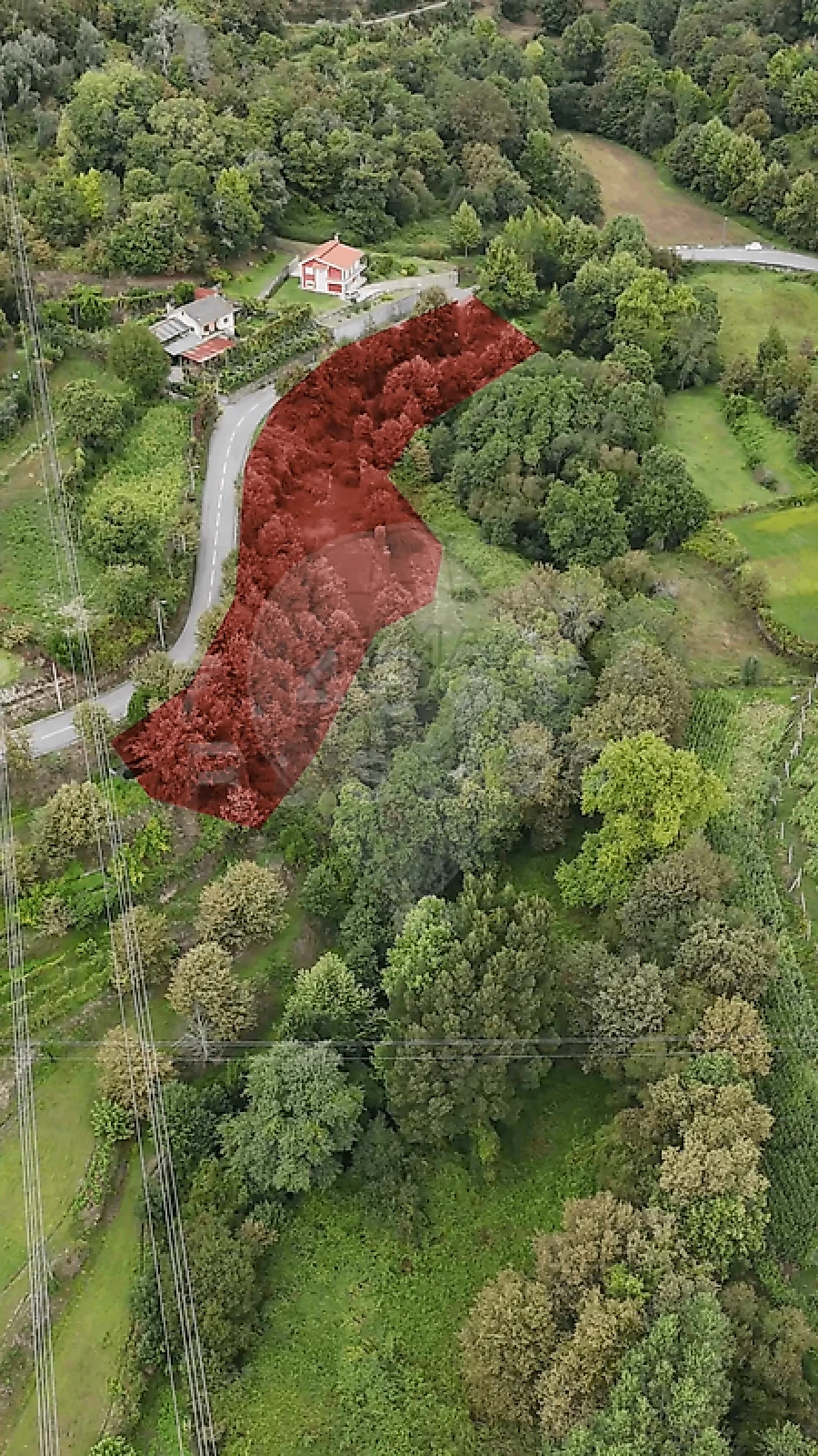 Terreno para Venda em Oriz (Santa Marinha) e Oriz (São Miguel) Foto 7