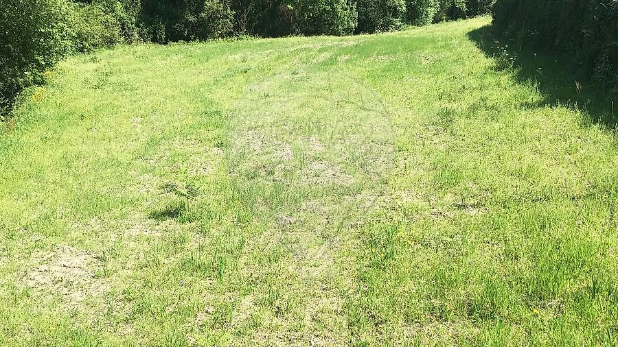 Terreno para Venda em Oriz (Santa Marinha) e Oriz (São Miguel)