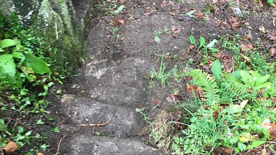 Terreno para Venda em Oriz (Santa Marinha) e Oriz (São Miguel)
