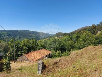 Terreno para Venda em Carvalho e Basto (Santa Tecla)