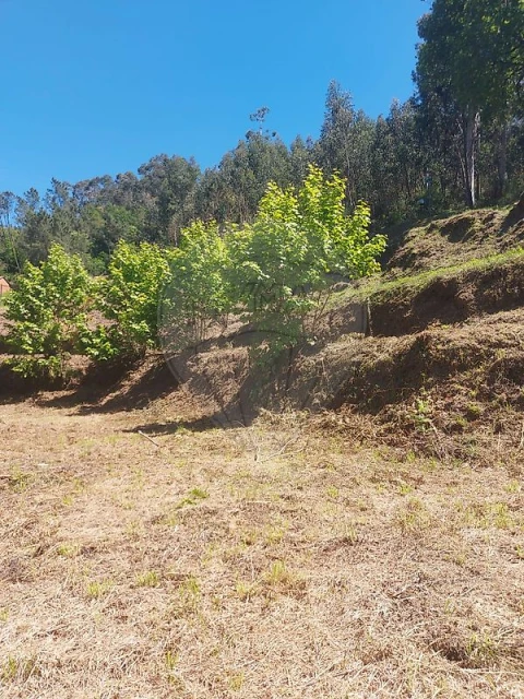 Terreno para Venda em Carvalho e Basto (Santa Tecla)