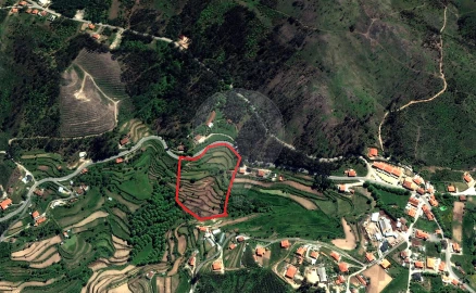 Terreno para Venda em Carvalho e Basto (Santa Tecla)