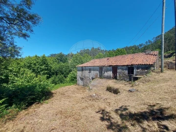 Terreno para Venda em Carvalho e Basto (Santa Tecla)