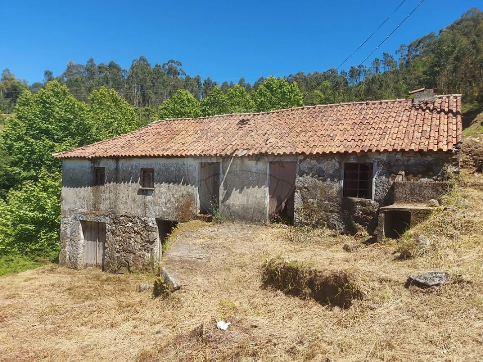 Terreno para Venda em Carvalho e Basto (Santa Tecla) Foto 2