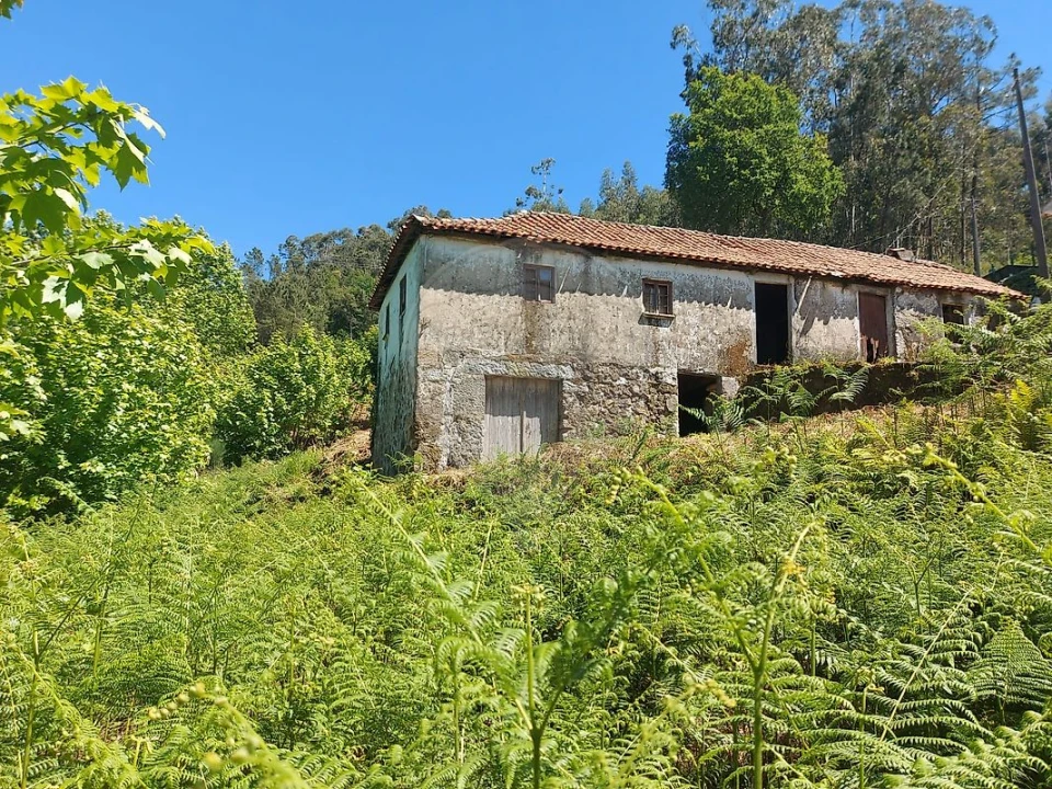 Terreno para Venda em Carvalho e Basto (Santa Tecla) Foto 4