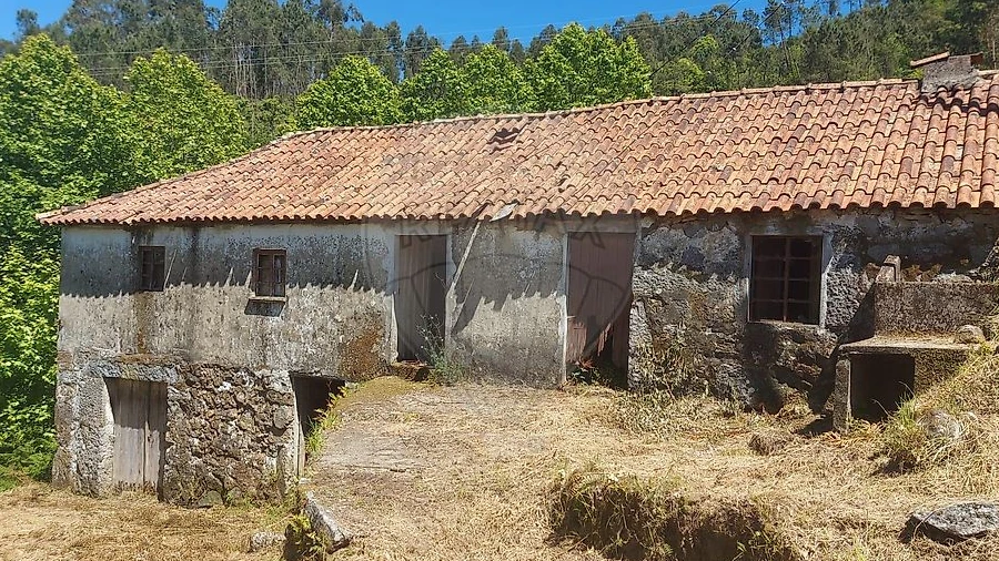 Terreno para Venda em Carvalho e Basto (Santa Tecla)