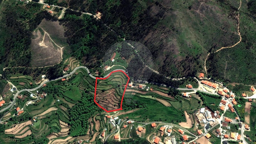 Terreno para Venda em Carvalho e Basto (Santa Tecla)