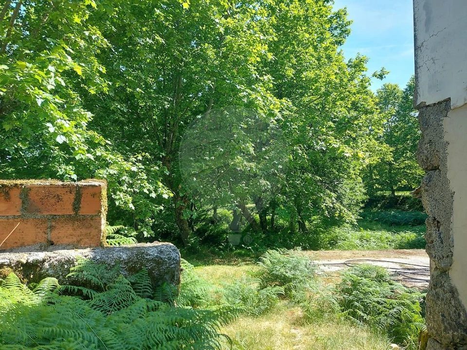 Terreno para Venda em Britelo, Gémeos e Ourilhe Foto 31