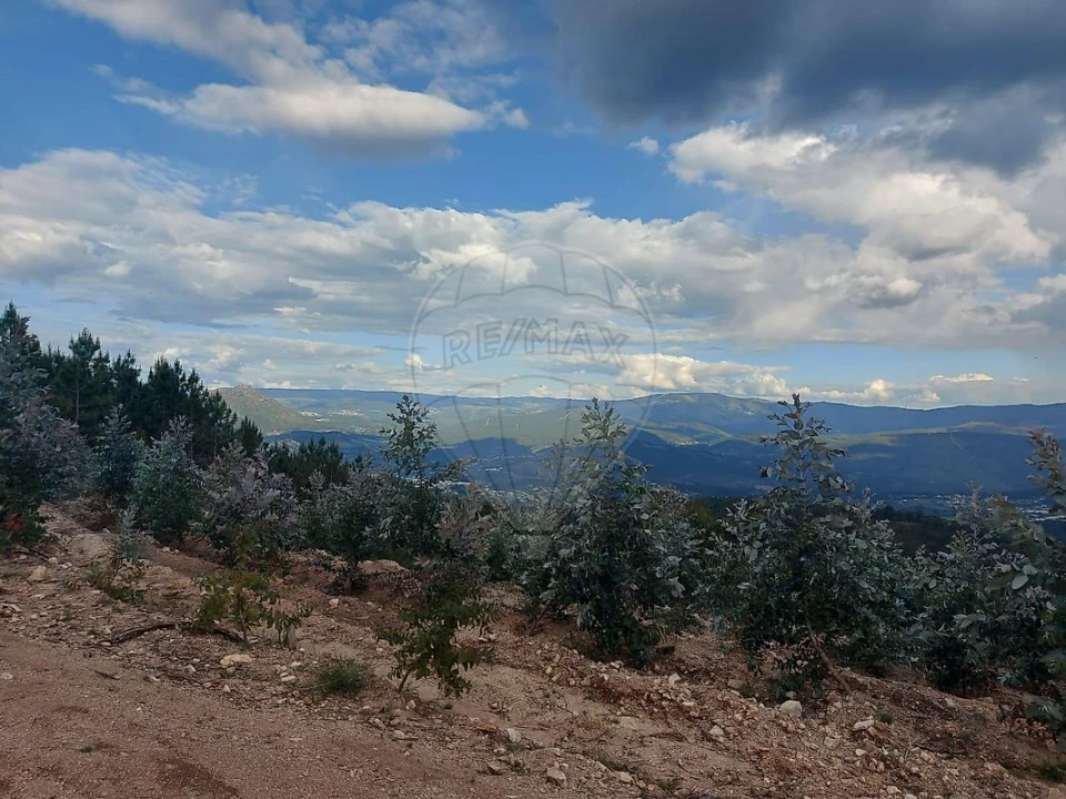 Terreno para Venda em Britelo, Gémeos e Ourilhe Foto 3