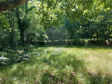 Terreno para Venda em Britelo, Gémeos e Ourilhe