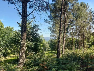 Terreno para Venda em Britelo, Gémeos e Ourilhe