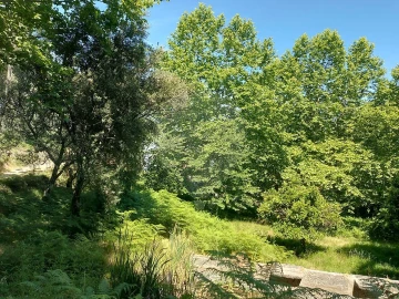 Terreno para Venda em Britelo, Gémeos e Ourilhe
