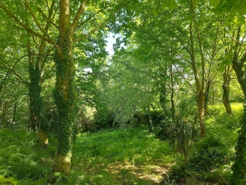 Terreno para Venda em Britelo, Gémeos e Ourilhe