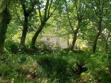 Terreno para Venda em Britelo, Gémeos e Ourilhe