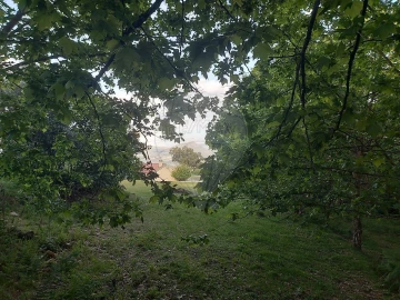 Terreno para Venda em Britelo, Gémeos e Ourilhe
