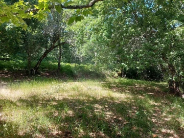 Terreno para Venda em Britelo, Gémeos e Ourilhe