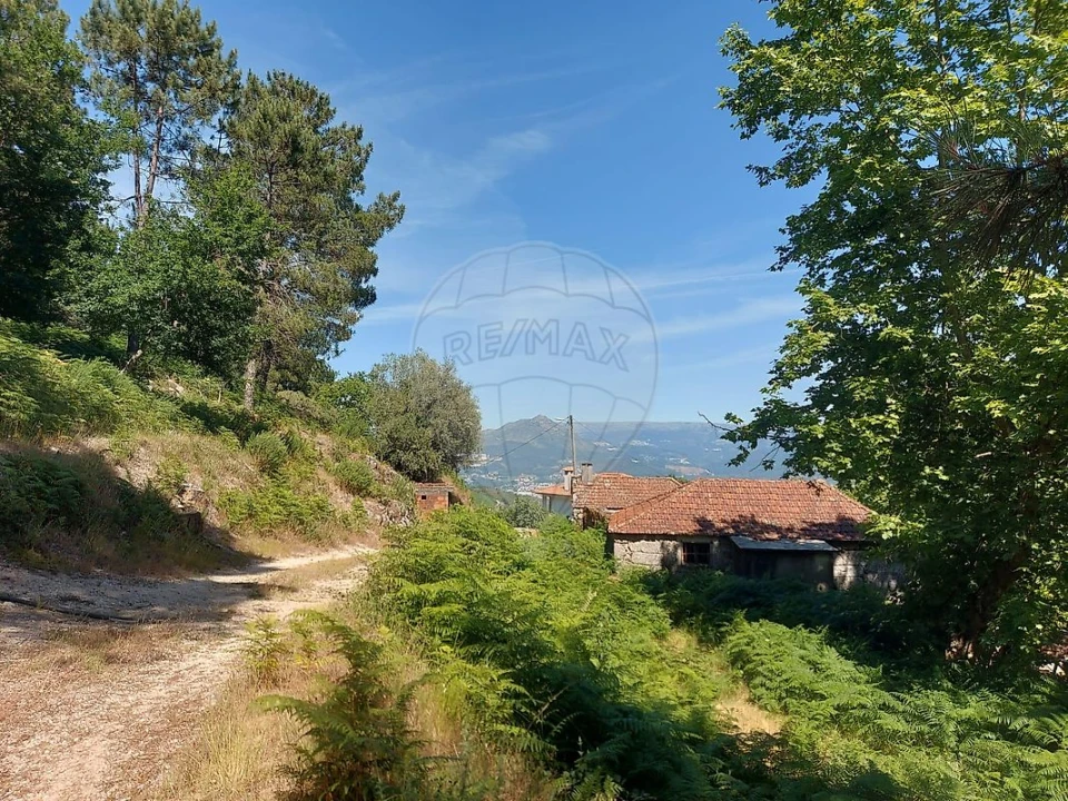 Terreno para Venda em Britelo, Gémeos e Ourilhe Foto 11
