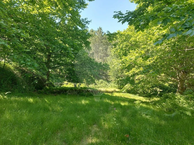 Terreno para Venda em Britelo, Gémeos e Ourilhe Foto 33