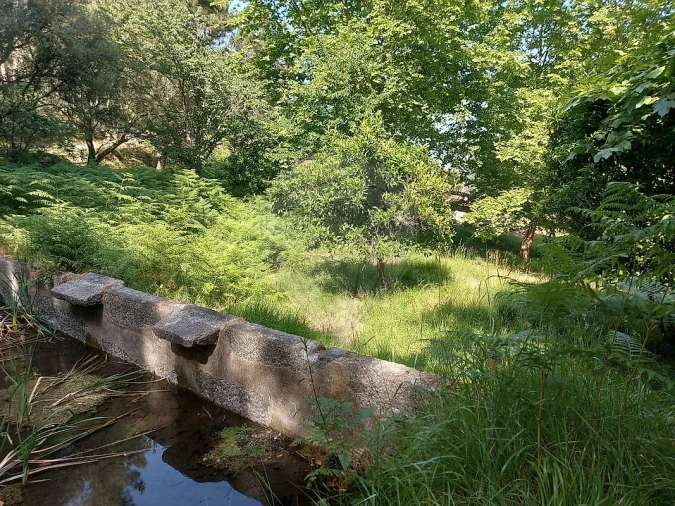 Terreno para Venda em Britelo, Gémeos e Ourilhe Foto 18