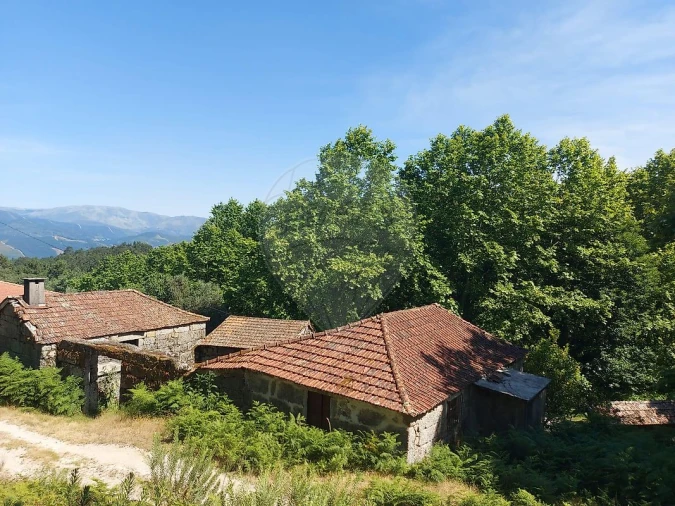 Terreno para Venda em Britelo, Gémeos e Ourilhe Foto 12