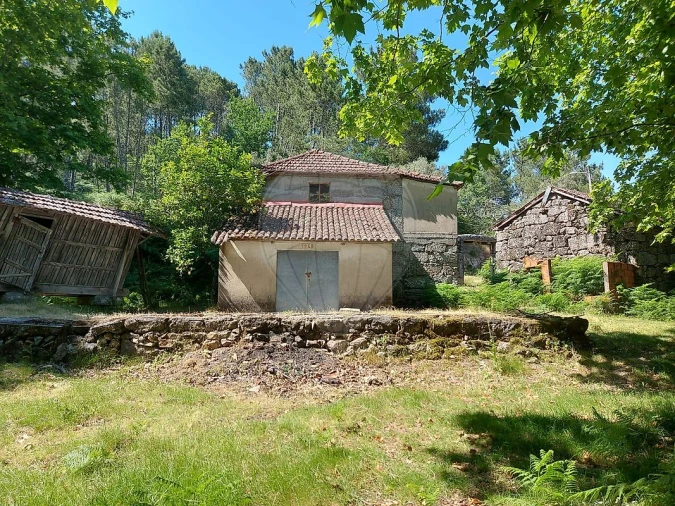 Terreno para Venda em Britelo, Gémeos e Ourilhe Foto 5
