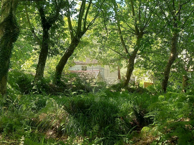 Terreno para Venda em Britelo, Gémeos e Ourilhe Foto 23