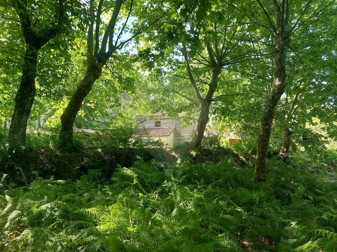 Terreno para Venda em Britelo, Gémeos e Ourilhe Foto 27
