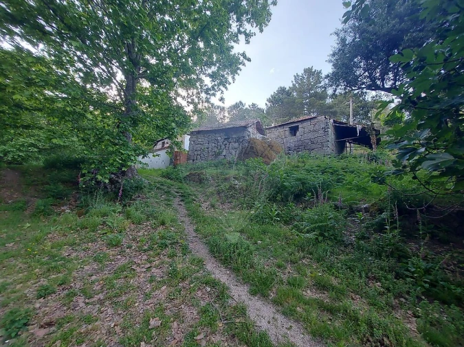 Terreno para Venda em Britelo, Gémeos e Ourilhe Foto 15