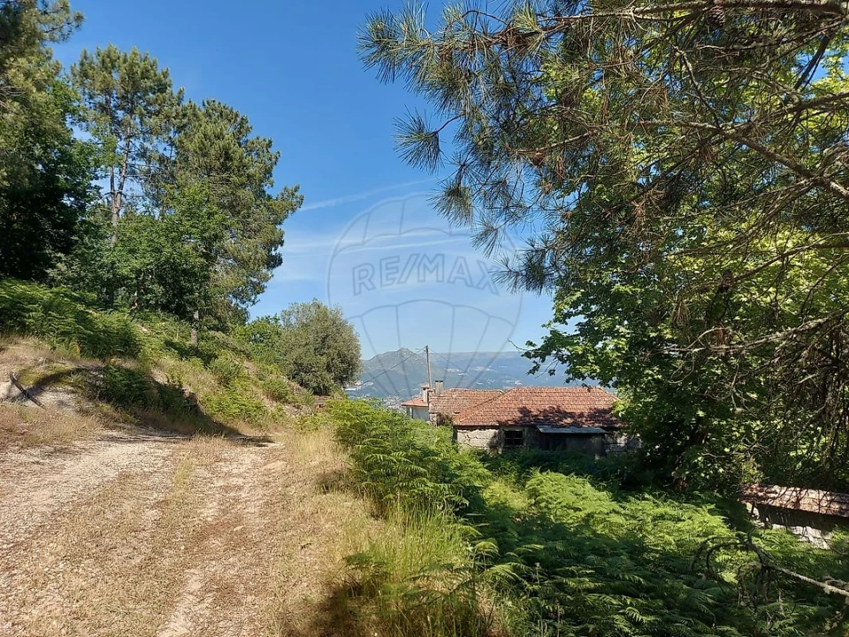 Terreno para Venda em Britelo, Gémeos e Ourilhe Foto 16