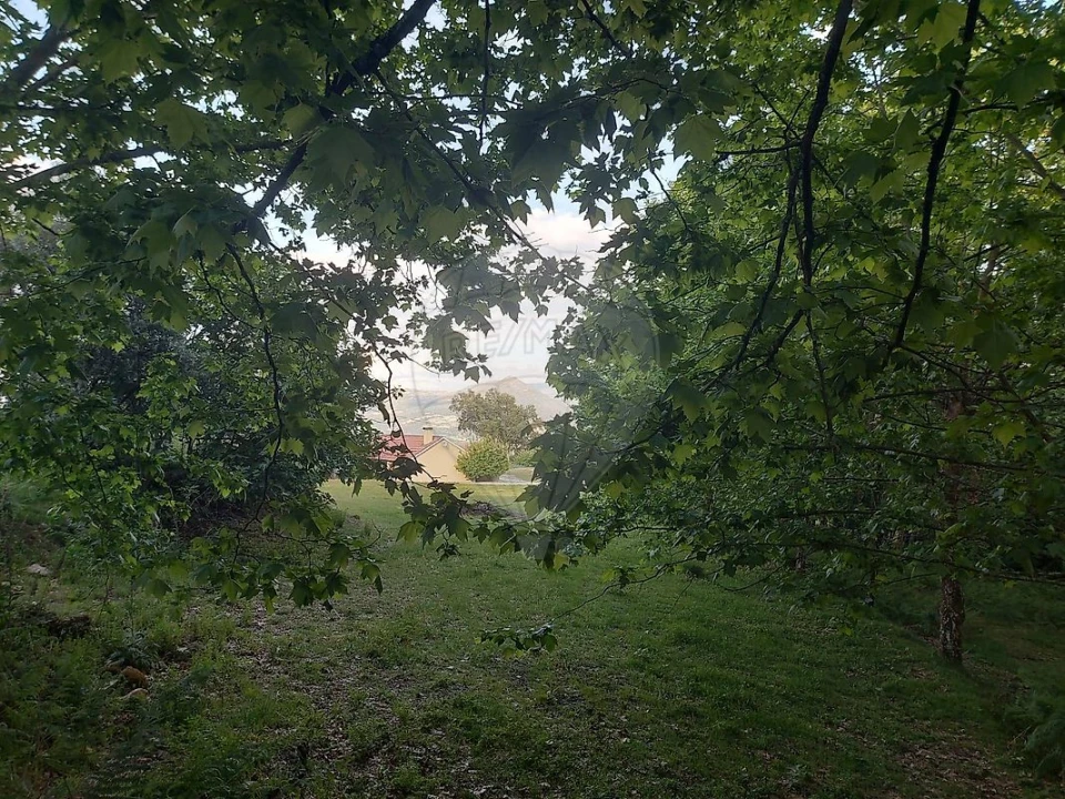 Terreno para Venda em Britelo, Gémeos e Ourilhe Foto 21