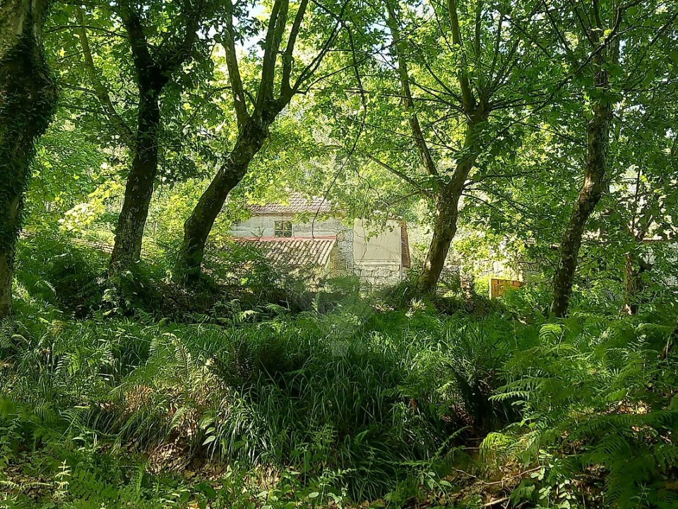 Terreno para Venda em Britelo, Gémeos e Ourilhe Foto 22
