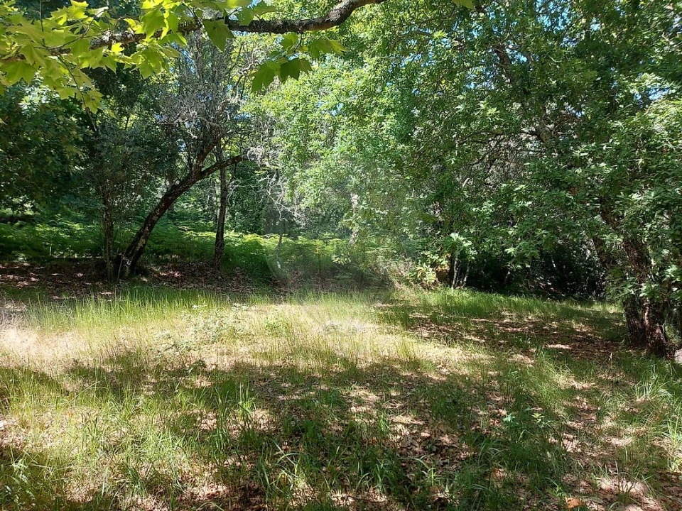 Terreno para Venda em Britelo, Gémeos e Ourilhe Foto 30