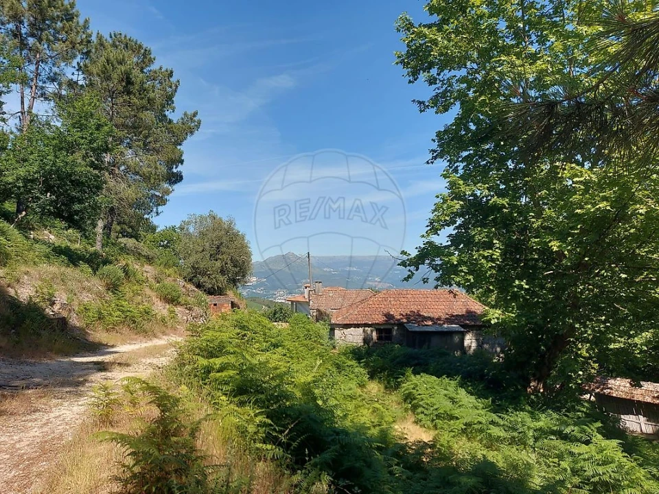 Terreno para Venda em Britelo, Gémeos e Ourilhe Foto 2